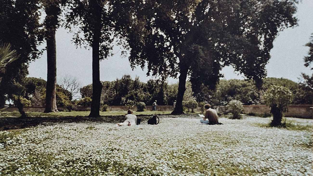 Raccolta fotografica